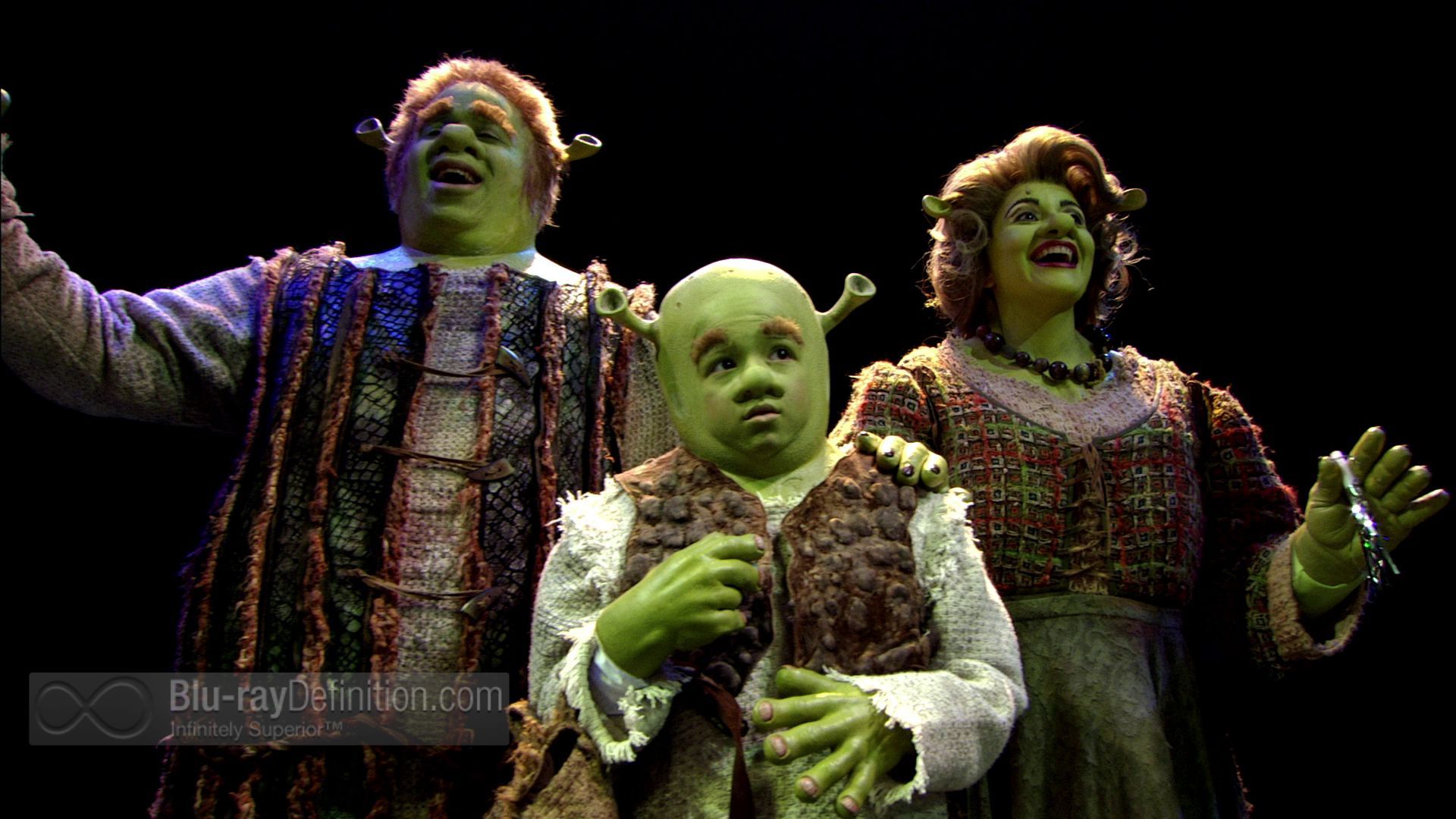 Shrek The Musical Stream Broadway Shows Musicals Online